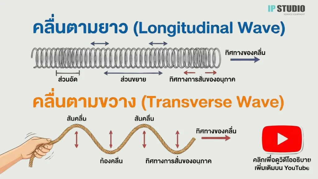 เปรียบเทียบคลื่นตามยาว Longitudinal wave กับคลื่นตามขวาง Transverse wave